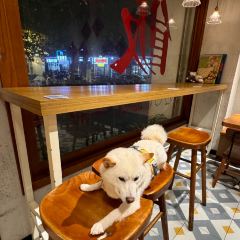 柴犬食堂(元帅路店) User Photo