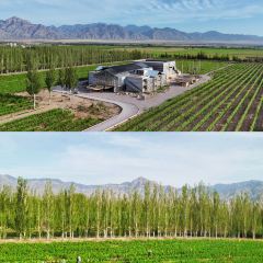 向阳四季冰煮羊(鼓楼南街店) User Photo