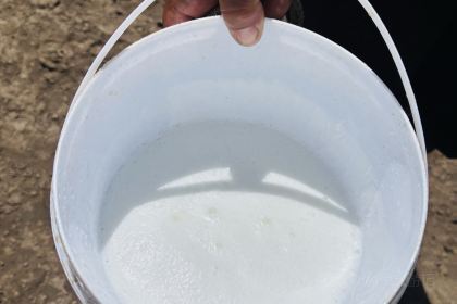 Shuxiangyuan Restaurant