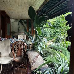 隐子茶舍 User Photo