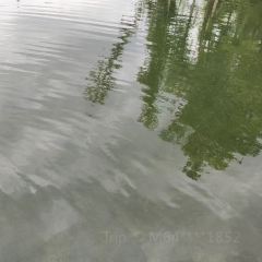 大美新疆 User Photo
