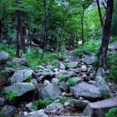 榮華泰山火燒（普照寺路店）張用戶圖片