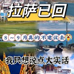 巴扎酸奶(大昭寺广场店) User Photo