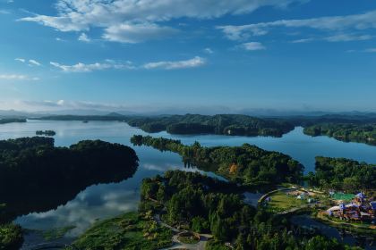 树蛙部落(仙女湖店)·餐厅