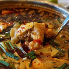 FREEHAND BAR User Photo