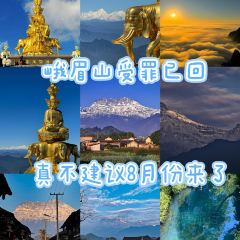 Kou fu lao dian qiao jiao Beef User Photo