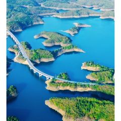 丹水桥·地锅鱼(丹江口店) User Photo