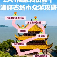XI MAO User Photo