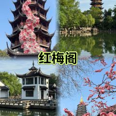 朱柏记美食府 User Photo