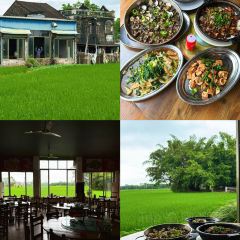 DE JI FAN DIAN User Photo