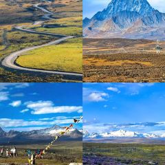 旧院柴火鸡(彭州店) User Photo