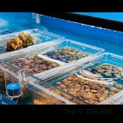 双合园·海鲜水饺青岛菜(经三路店) User Photo