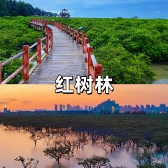 LONG GE HAI XIAN User Photo