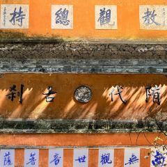 RONG CUISINE User Photo