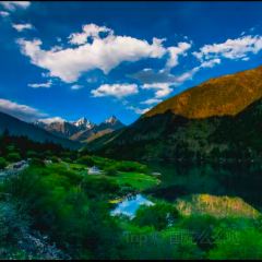 MALAYA TIBETAN RESTAURANT User Photo