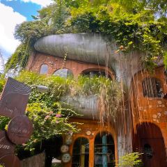 Mặn Mòi - Tao Đàn張用戶圖片