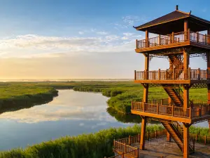 老哥铁锅炖鱼(嫩江北街店)