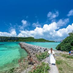 Rakuennokajitsu張用戶圖片