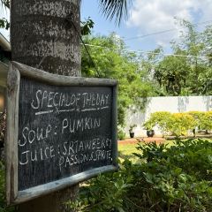 Woodberry Cafe User Photo