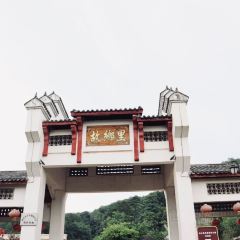 GU XIANG LI YUAN LIN SHI FU User Photo