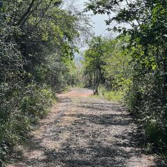 山涧别院 User Photo