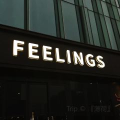 FEELINGS User Photo
