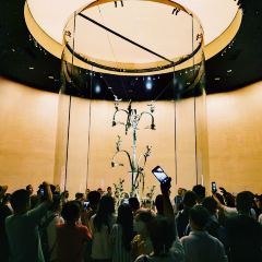 Orangutan Bunker User Photo