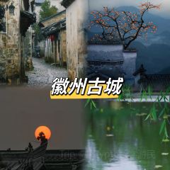 两棵树馄饨店(渔梁住保小区店) User Photo