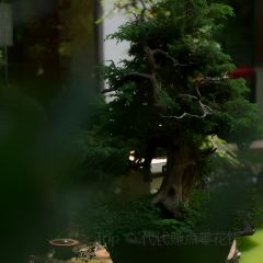 YU HUA TAI JIU LOU User Photo