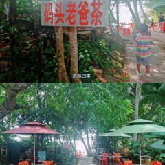 Pier Dad tea 여행 사진