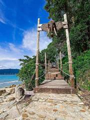 Elephant Swims @Lucky Beach, Tri Trang