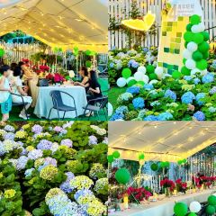 海如的花園張用戶圖片