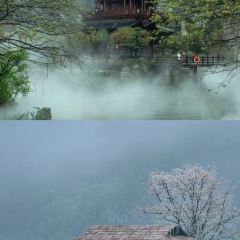 天镜池 User Photo