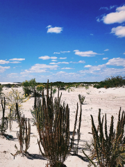 Southern Beekeepers Nature Reserve