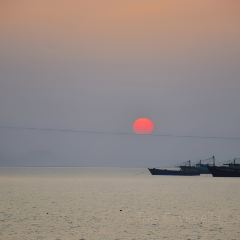 海边有棵树 여행 사진