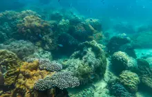 Pattaya Diving and Scuba Diving