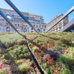 McDonald's 여행 사진