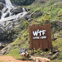 WTF Coffee Camp User Photo