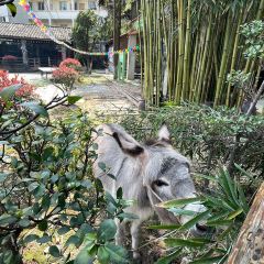 山里·落日小院·亲子营地·烤肉(云篆山店) 여행 사진