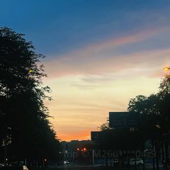梦回桃花园擂茶(伯赞路旗舰店) User Photo