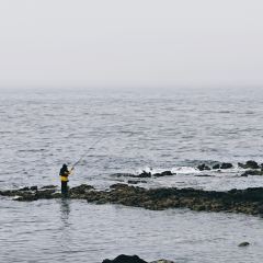 팀블로우 여행 사진