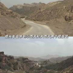 党氏卷子鸡(南关店) User Photo