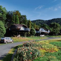 树蛙部落(仙女湖店)·餐厅 User Photo