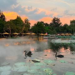 玛歌庄园·白鹤湖火锅公园(武胜店) User Photo