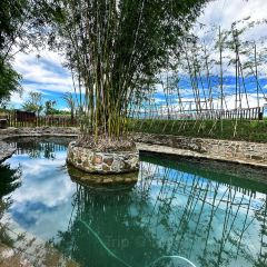 云里小坐·海泉湾·团建·聚会·下午茶(金堂海泉湾店) User Photo