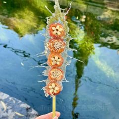 Lxiu Xiao Mang User Photo