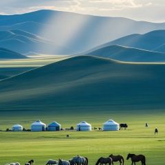 Wò Lǔ Duǒ User Photo