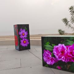 Naive li xiang guo (a na ya dian) User Photo