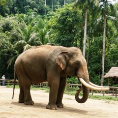 Princess Nan User Photo