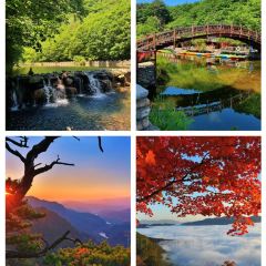 Number One User Photo